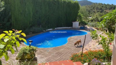 Chalet in Andalusia photo 20