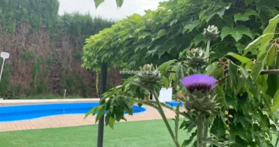 Chalet in Andalusia photo 81