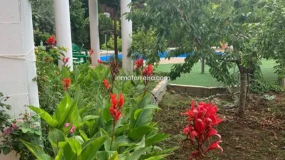 Chalet in Andalusia photo 82