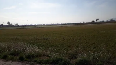 Terreno en venta en Granja de Rocamora - Vista 4