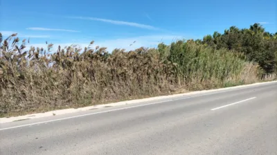 Terreno en venta en Baix Vinalopó - Vista 2