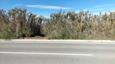 Terreno en venta en Baix Vinalopó - Vista 3
