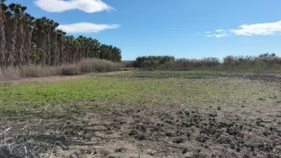 Terreno en venta en Baix Vinalopó - Vista 4