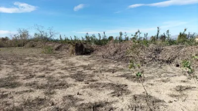 Terreno en venta en Baix Vinalopó - Vista 5