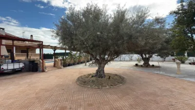 Chalet in El Bañet photo 49