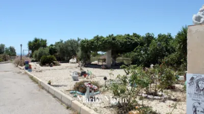 Chalet in El Moralet photo 5