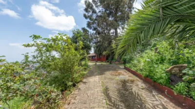 Chalet en Vega de San Mateo photo 2