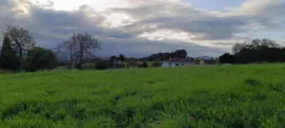 Finca rústica en venta en Calle Cs Otero, Número 0, Anes - Samartindianes-Samartino (Siero) de 84.000 €