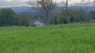 Finca rústica en venta en Calle Cs Otero, Número 0, Anes - Samartindianes-Samartino (Siero) de 84.000 €