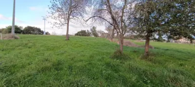 Finca rústica en venta en Calle Cs Otero, Número 0, Anes - Samartindianes-Samartino (Siero) de 84.000 €