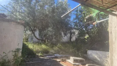 Rustic finca on Calle La Tarea photo 16