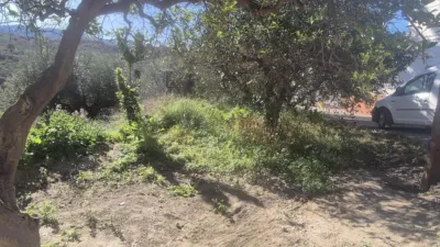 Rustic finca on Calle La Tarea photo 17