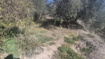 Rustic finca on Calle La Tarea photo 18