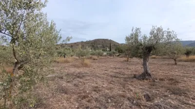 Rustic Finca in Castalla photo 19