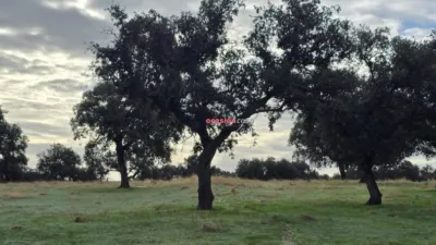Rustic farm in Andalusia photo 10