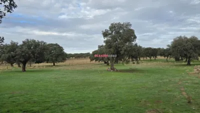Rustic farm in Andalusia photo 12