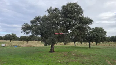 Rustic farm in Andalusia photo 13