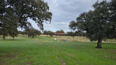 Rustic farm in Andalusia photo 14