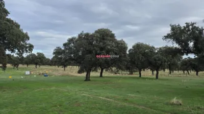 Rustic farm in Andalusia photo 16