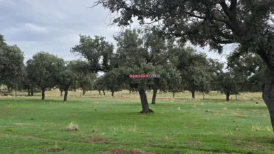 Rustic farm in Andalusia photo 17