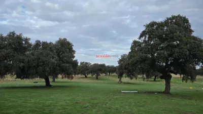 Rustic farm in Andalusia photo 18