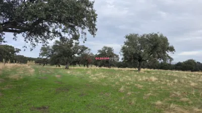 Rustic farm in Andalusia photo 19
