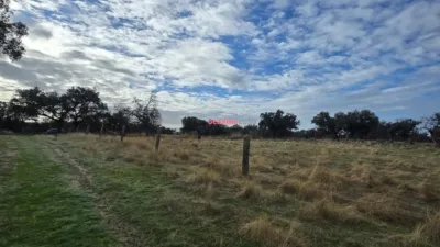 Rustic farm in Andalusia photo 4