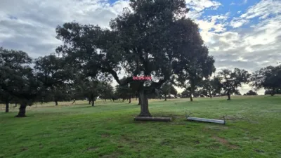 Rustic farm in Andalusia photo 5