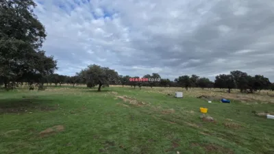 Rustic farm in Andalusia photo 7