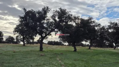 Rustic farm in Andalusia photo 9