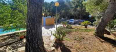 House in El Cantalar photo 3