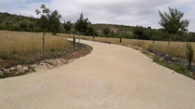 Rustic Finca in Andalucia photo 12