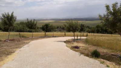 Rustic Finca in Andalucia photo 13