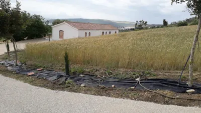 Rustic Finca in Andalucia photo 14
