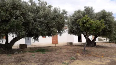 Rustic Finca in Andalucia photo 15