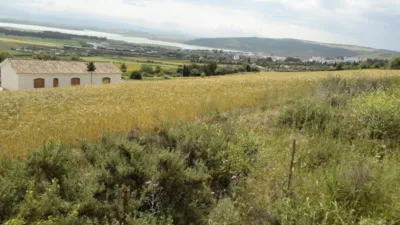 Rustic Finca in Andalucia photo 17
