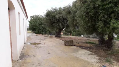 Rustic Finca in Andalucia photo 4