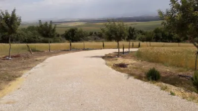 Rustic Finca in Andalucia photo 6