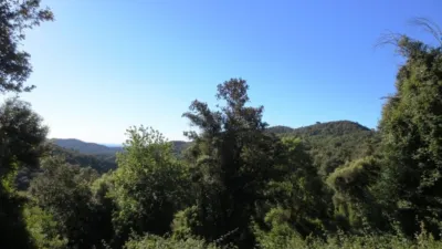 Rustic Finca in Otras photo 15