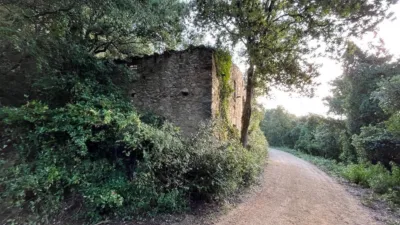 Rustic Finca in Otras photo 16