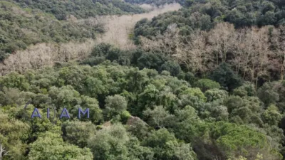Rustic Finca in Otras photo 23