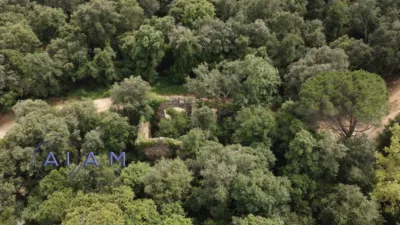 Rustic Finca in Otras photo 25