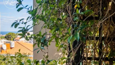 Casa pareada en venta en Carretera d'El Port de la Selva, El Port (Llançà) de 446.000 €