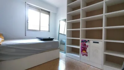 Apartment in Carolinas Bajas photo 12