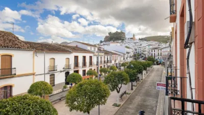 Apartment in Plaza de San Isidro photo 11