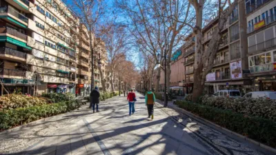 Apartment at Calle Rejas de la Virgen, 6 photo 74