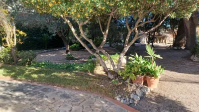 Chalet in Les Salines photo 39