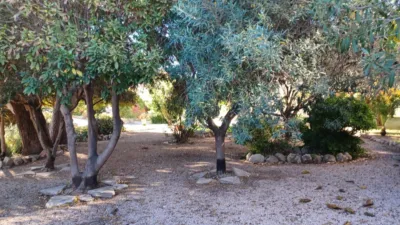 Chalet in Les Salines photo 43