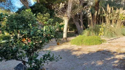 Chalet in Les Salines photo 44