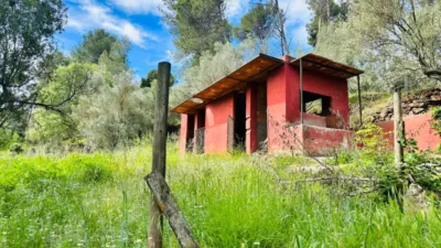 House in Castellví de Rosanes photo 53